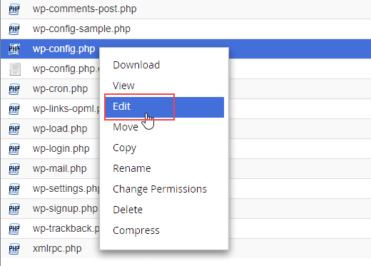 Wp config.php file