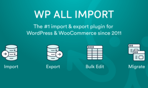 Read more about the article WP All Import The Ultimate Bulk Transfer