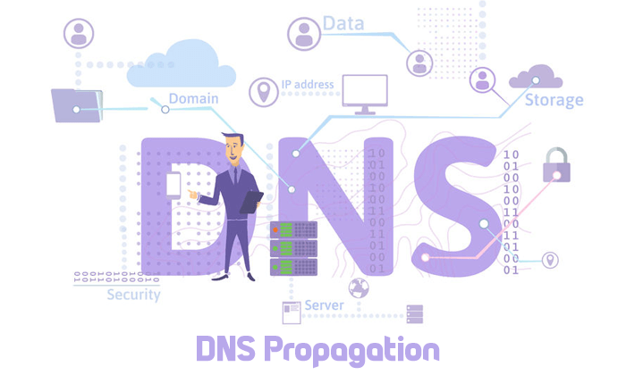 Read more about the article DNS Propagation explained in an easy way